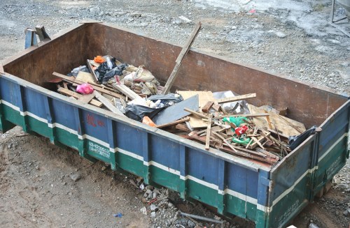 Professionals performing garden clearance in Chiswick